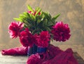 Peonies Royalty Free Stock Photo