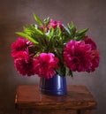 Peonies Royalty Free Stock Photo