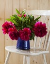 Peonies Royalty Free Stock Photo