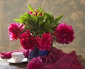 Peonies Royalty Free Stock Photo