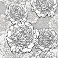 Peonies. T-shirt design. Sketched flower print in monochrome colors - seamless background. Hand-drawn vector