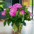 Peonies in vase, pink peony flowers blooming in glass vase in modern room.