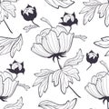 Peony flower seamless pattern colorful illustration