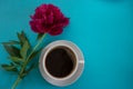 Peony on a blue background cup of coffee