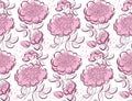 Peony floral sketch. spring flower vector Royalty Free Stock Photo