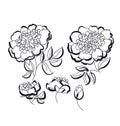 Peony floral sketch. spring flower vector illustration. black an Royalty Free Stock Photo
