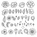 Peony Flower Elements Icons Set, Hand Drawn Style