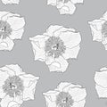 Peony flower seamless pattern drawing. Grey background.