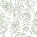 Peony flower seamless pattern drawing. Royalty Free Stock Photo