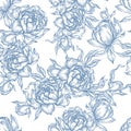Peony flower seamless pattern drawing. Royalty Free Stock Photo