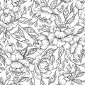 Peony flower seamless pattern drawing. Vector hand drawn engrave Royalty Free Stock Photo