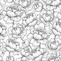 Peony flower seamless pattern drawing. Vector hand drawn engrave Royalty Free Stock Photo