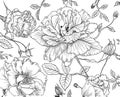 Peony flower seamless pattern drawing. Vector hand drawn engrave Royalty Free Stock Photo