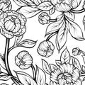 Peony flower seamless pattern line drawing. Vector hand drawn engraved floral background Black ink sketch. Great for invitation Royalty Free Stock Photo