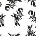 Peony flower silhouette seamless pattern Royalty Free Stock Photo