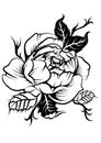 peony flower in tatto style