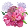 Peony flower on a white background. Pink flower. Watercolor. Collage of flowers and leaves.