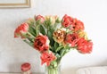 Peony flowered tulips bouqet in a vase