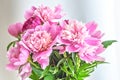 Peony flowers bouquet. Springtime fresh natural composition