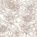 Peony flowers seamless pattern texture. Brown sepia outline on beige background.