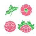 Peony flowers. vector llustration set of flat icons