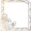 Peony frame, flowers drawing and sketch with line-art on white backgrounds