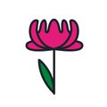 Peony icon. Pion flower isolated vector icon