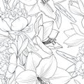 Peony and lily flowers seamless pattern texture. Black white greyscale realistic detailed line drawing outline sketch. Royalty Free Stock Photo