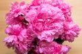 The peony or paeony pink flowers in the vase top view. Paeonia \