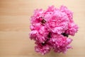 The peony or paeony pink flowers in the vase top view. Paeonia \