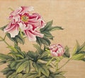 Peony painted in Chinese style Royalty Free Stock Photo