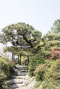 The peony pavilion