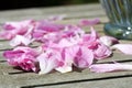 Peony petals