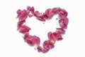 Peony petals laid out in the shape of a heart. Valentine`s day concept Royalty Free Stock Photo