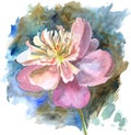 Peony on a picturesque background. Hand drawn watercolor illustration.