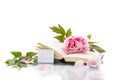 peony pink beautiful flower, book, empty card