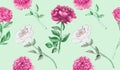 Peony pink and white flowers and leaves, hand painted watercolor illustration, seamless pattern design on soft green Royalty Free Stock Photo