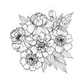 Peony rose flowers bouquet composition, outline realistic sketch drawing.