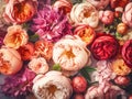 Peony and roses flowers. Floral background with red, pink yellow blossoms. AI Generated Royalty Free Stock Photo