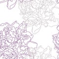 Peony seamless pattern