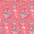 Peony seamless pattern. Pink flower thin black outline background design element