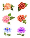 Peony vector illustration for tattoo style. Royalty Free Stock Photo
