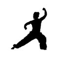 Silhouette of a female fighter doing wushu martial art action pose.