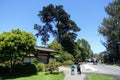 People admiring the beautiful views in Golden Gate Park, including the Japanese Tea Garden, in San Francisco, California, USA. Royalty Free Stock Photo