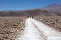 People along the trail at the salt pan at the Salar of Antofalla at the Puna de Atacama, Argentina Royalty Free Stock Photo