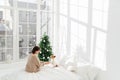 People, animals, holiday, joy concept. Brunette adult woman with jack russell terrier dog on bed, enjoys Christmas or New Year