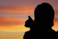 People, animals, pets, childhood concept. Silhouette of an owner and pet. Silhouette of young girl holding a cat, cropped shot. Royalty Free Stock Photo