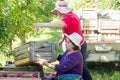 People in apple orchard are sorting apples