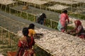 Workers drying fishes in the fish drying facility at Frezargunj, West Bengal, India