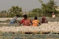 People arranging to dry fish in a cottage industry